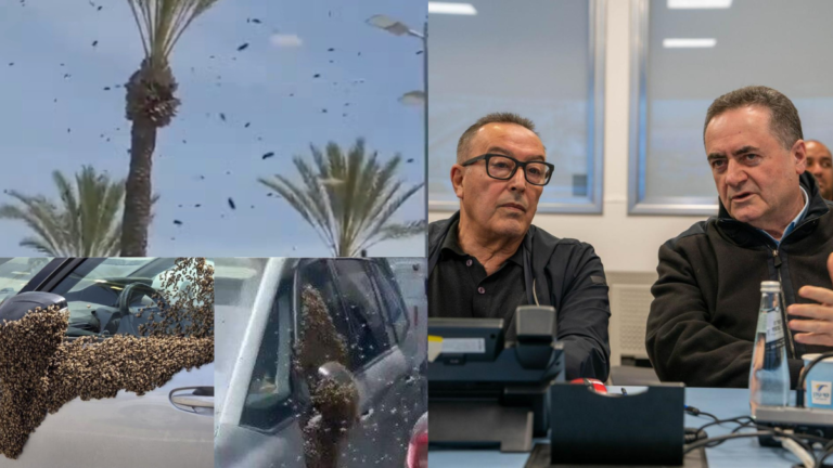 Enjambres masivos de abejas invaden zonas del sur de Israel mientras las autoridades piden a los asustados residentes tomar precauciones